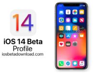 iOS 14 Beta Profile